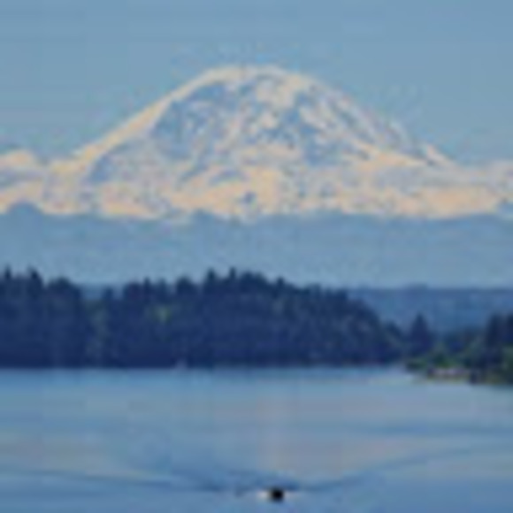 Meet your Posher, Frances - Picture 1 of 1